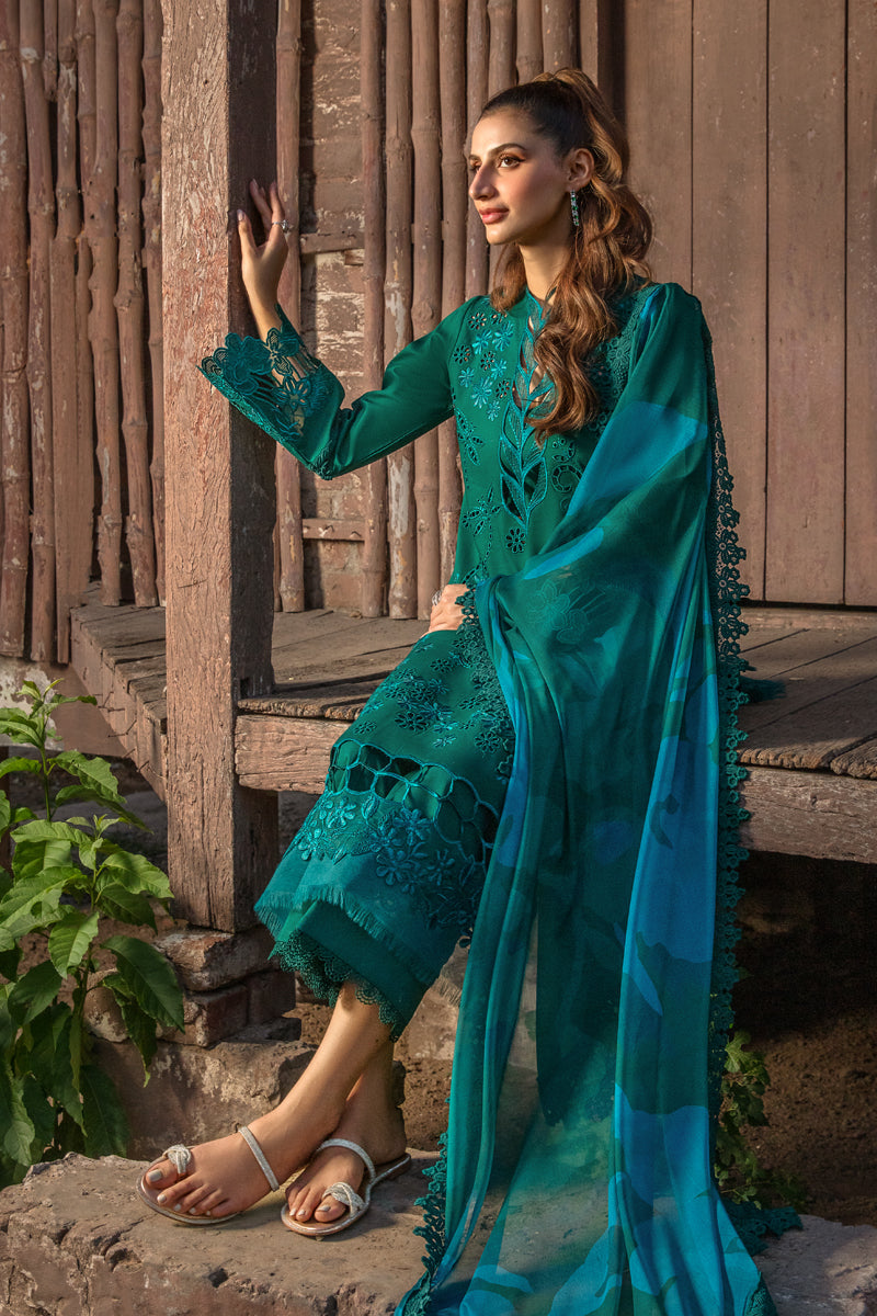 JADE | CARNATION FESTIVE EDIT '24 | RANG RASIYA in UK USA UAE online kapraye.com