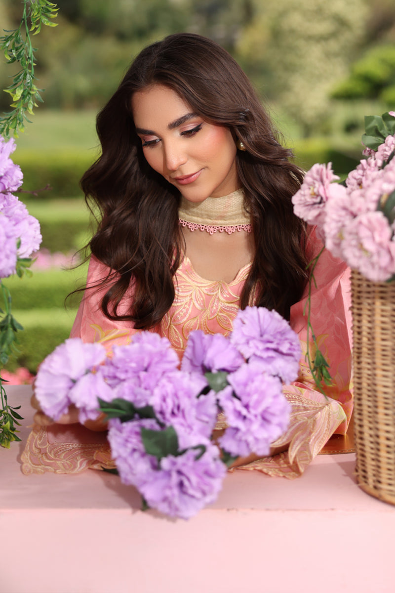 Vaneeza | LIFESTYLE SUMMER EDIT 2025 | RANG RASIYA