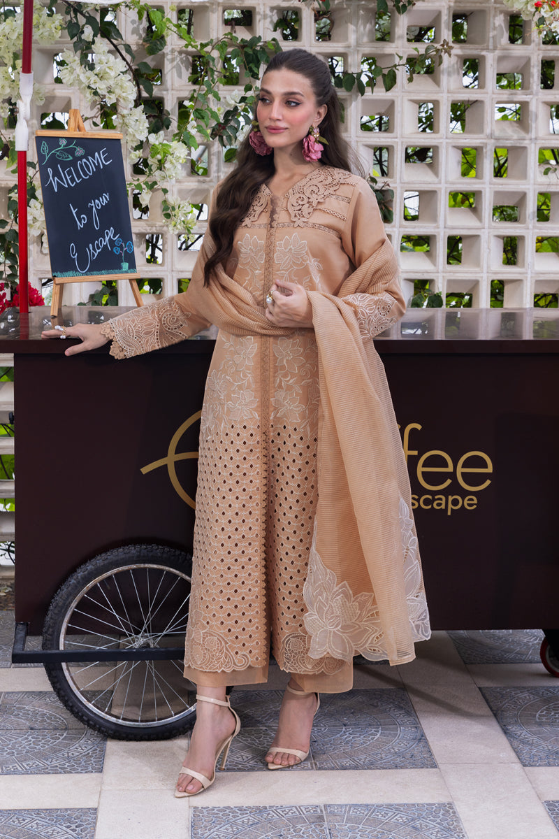 KAIA | CARNATION LUXURY FESTIVE EDIT '25 | RANG RASIYA