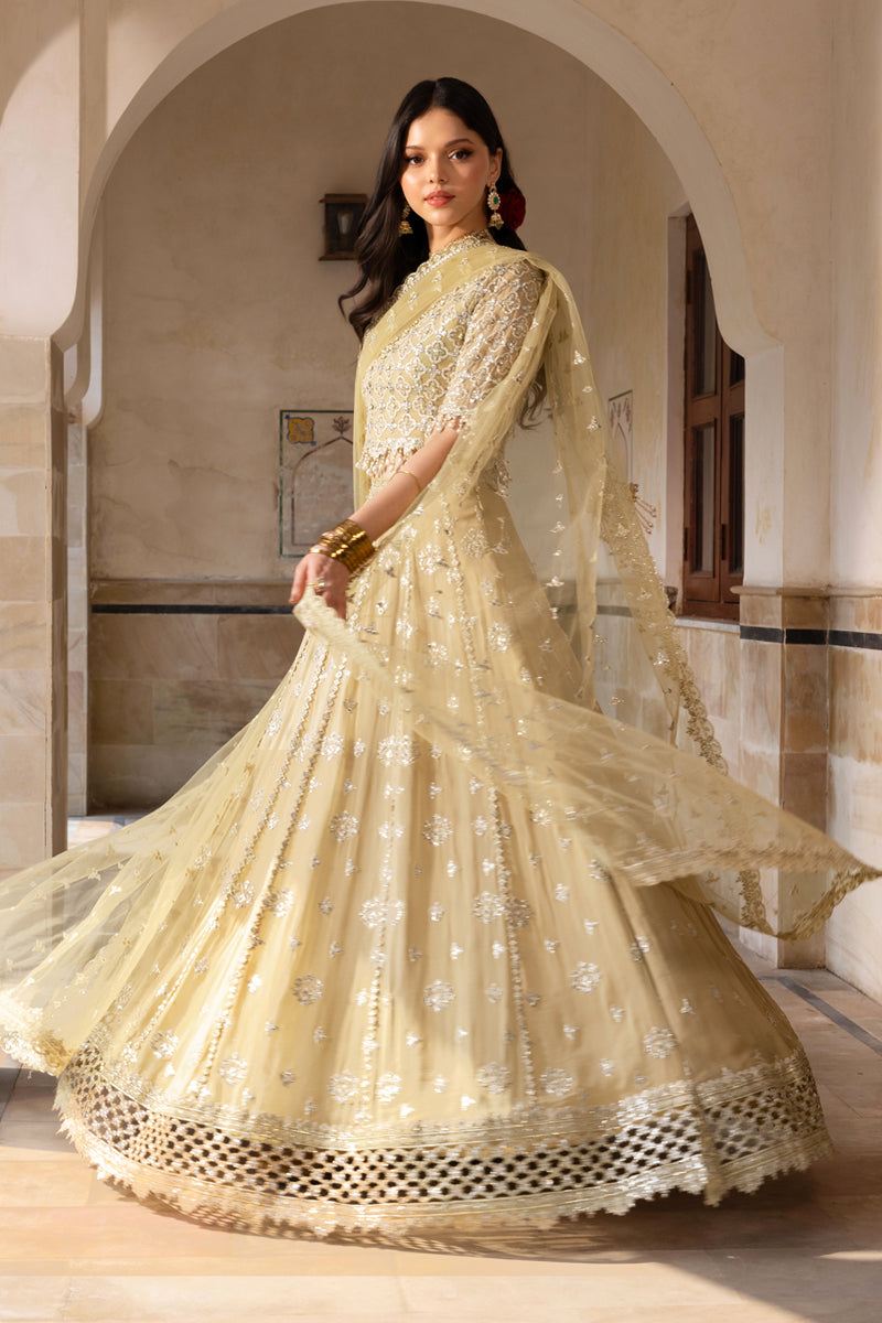 Zaiena | CHIFFON FORMALS | RANG RASIYA