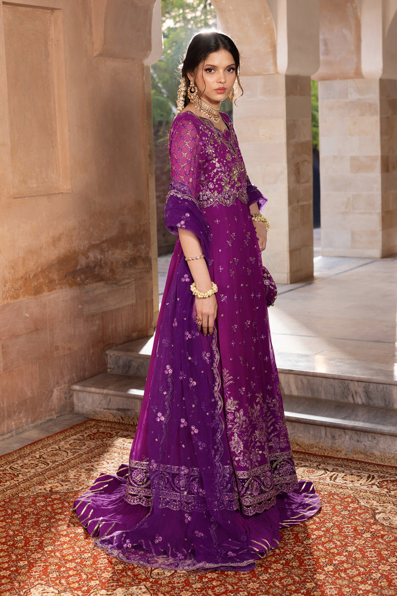 Aaliyah | CHIFFON FORMALS | RANG RASIYA