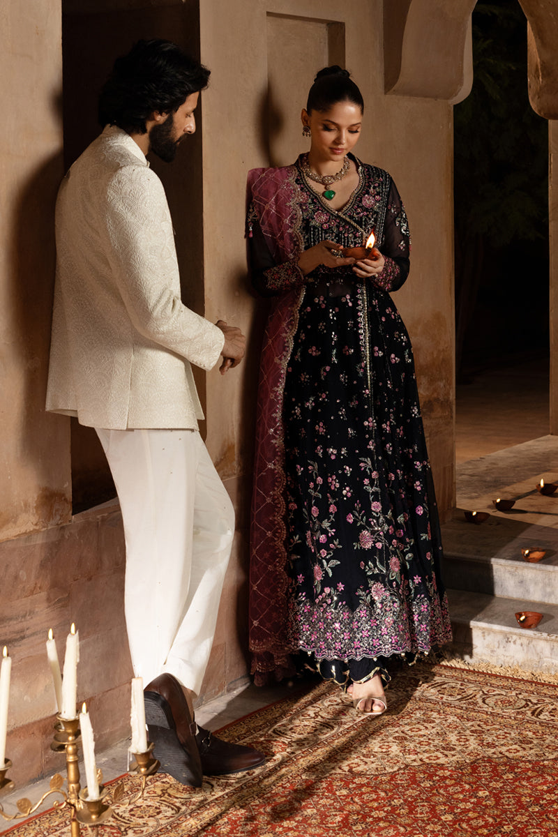 Sofia | CHIFFON FORMALS | RANG RASIYA