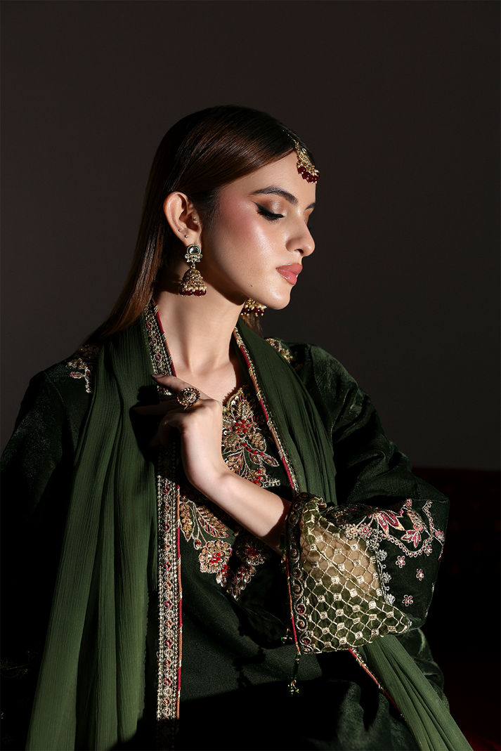 AARISH | ZARPOSH VELVET COLLECTION | EMAAN ADEEL