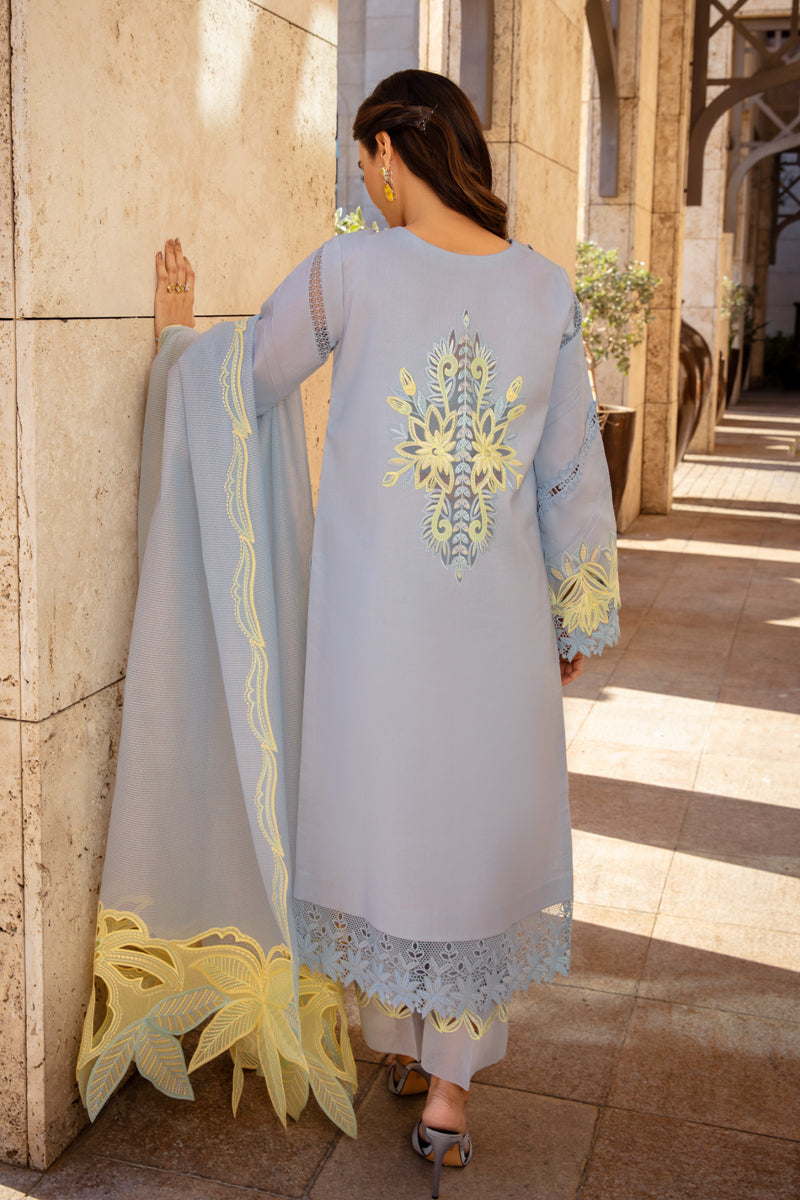 Elnaz | Premium Summer Collection '25 | Rang Rasiya in UK USA UAE online kapraye.com