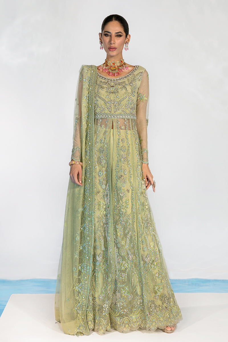 CATALINA || CHATOYER WEDDING FORMALS || RANG RASIYA in UK USA UAE online kapraye.com