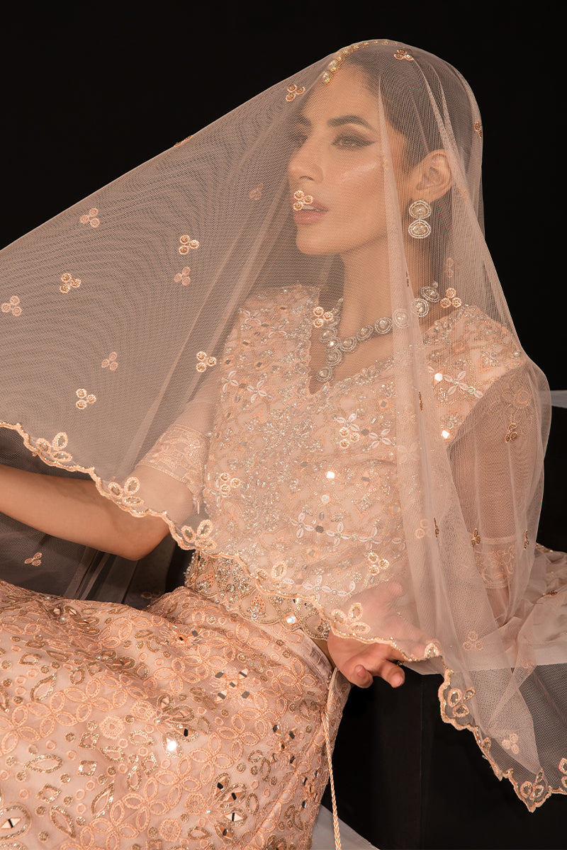 ELENA || CHATOYER WEDDING FORMALS || RANG RASIYA in UK USA UAE online kapraye.com