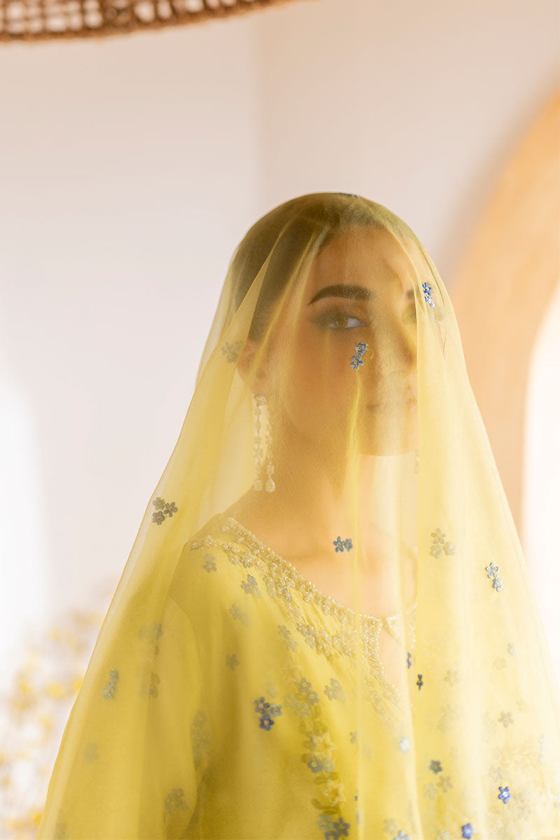 Lumiere | ZARMINAY LUXURY PRET | MUSHQ