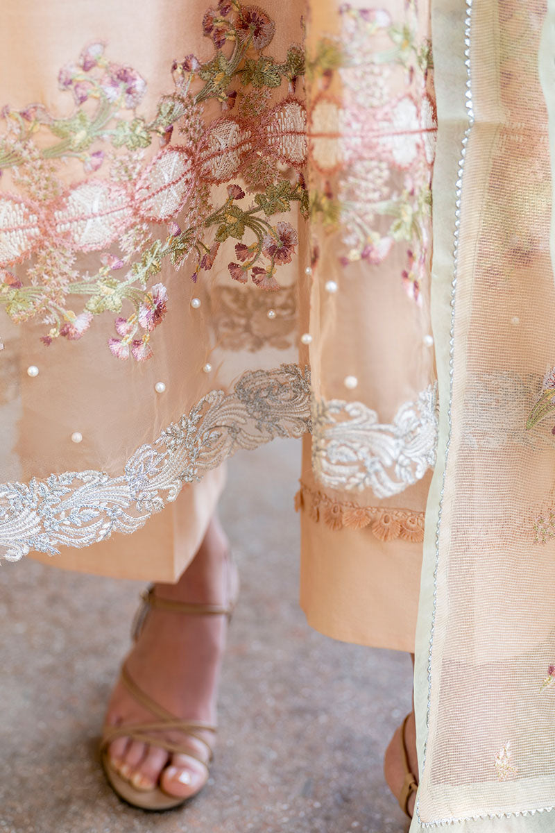 SHOW ORCHID || TEHREEM || MUSHQ in UK USA UAE online kapraye.com