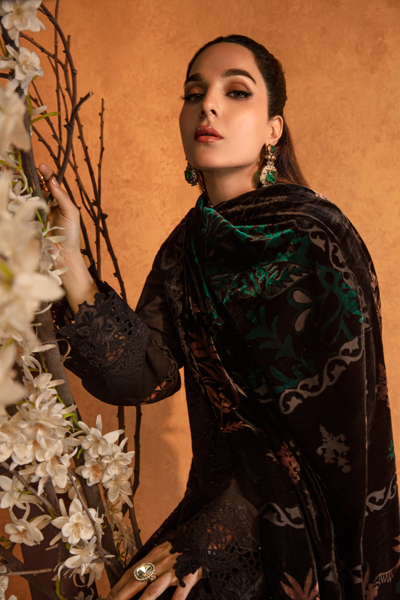 Espresso | Premium Winter Edit '24 | Rang Rasiya