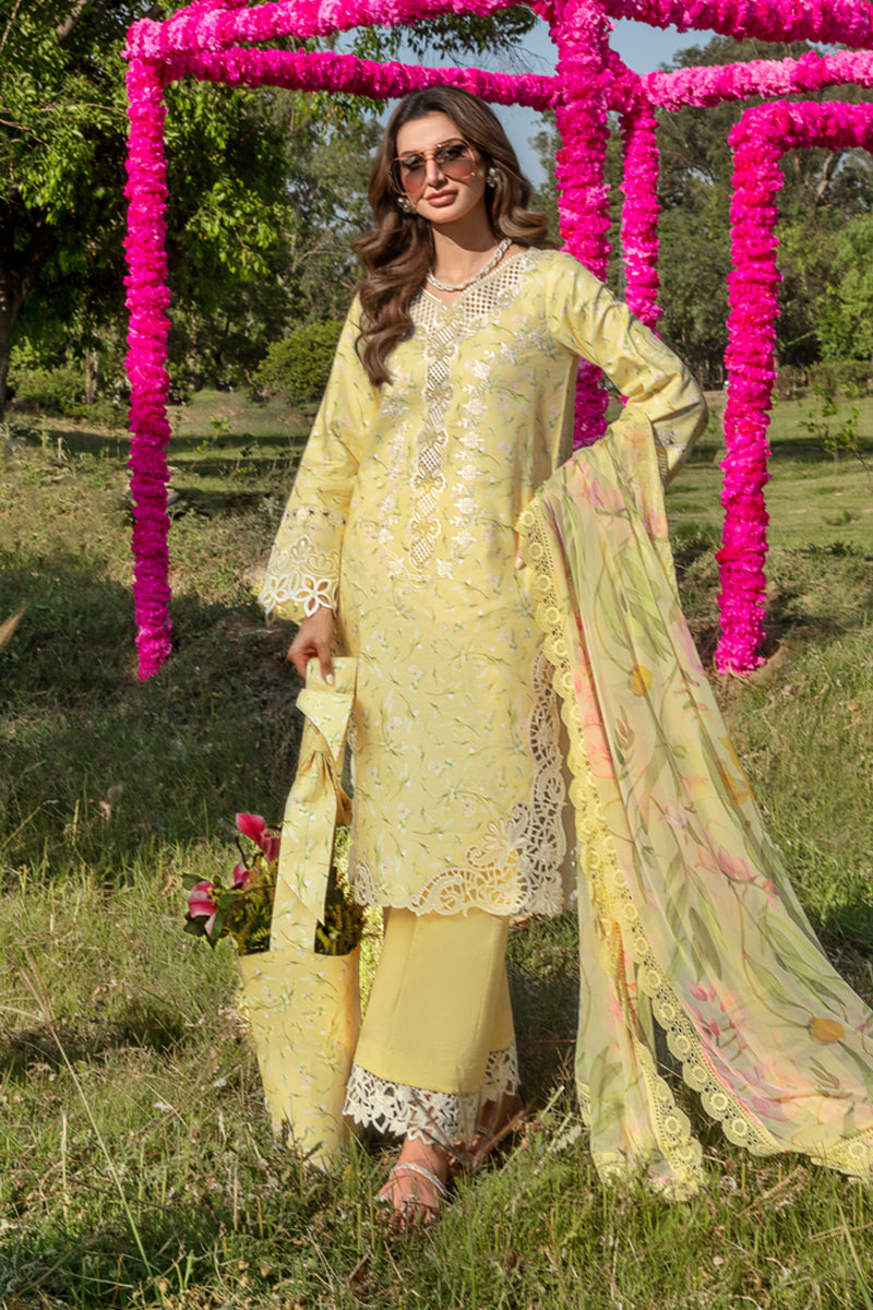 RAYA | CARNATION FESTIVE EDIT '24 | RANG RASIYA in UK USA UAE online kapraye.com