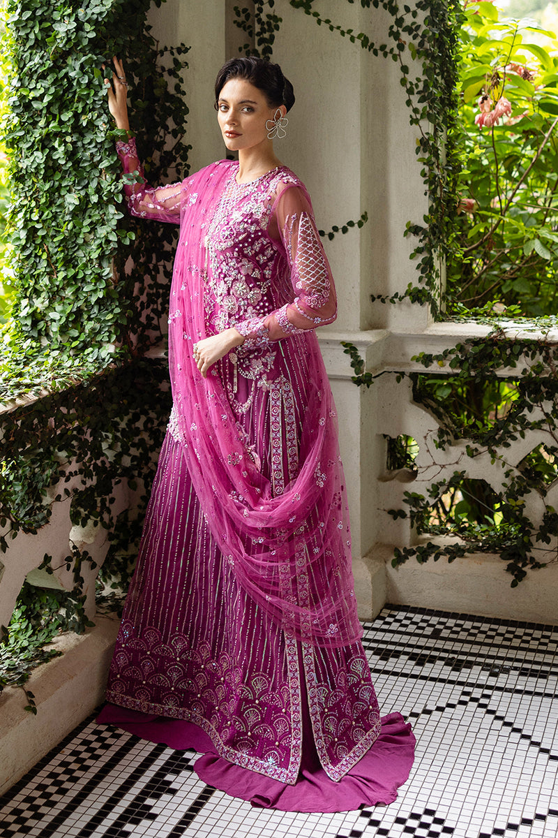 Sweet November | INCEPTION HEMLINE WEDDING'25 | MUSHQ