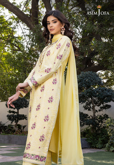 AJPE-10 (3-PC) | Festive Pret '23 | ASIM JOFA in UK USA UAE online kapraye.com