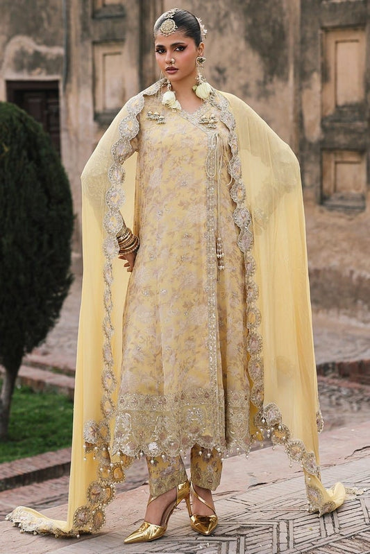 VSL6-13 | VASAL2026 Vol 02 | CHARIZMA