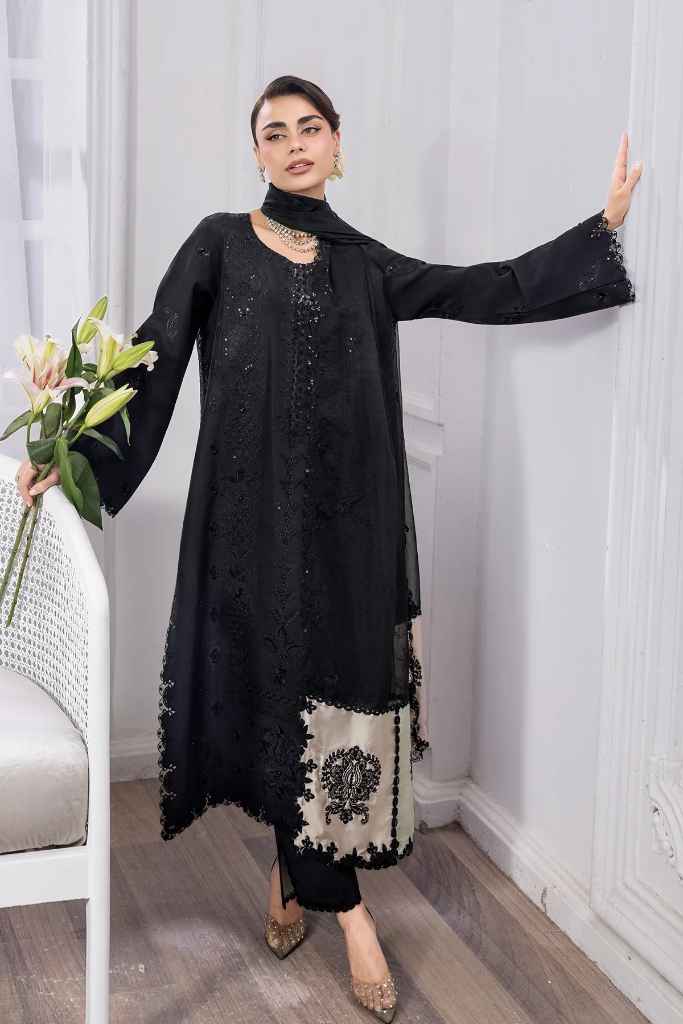 Eclipse | LUMEIRE SILK | RANG RASIYA