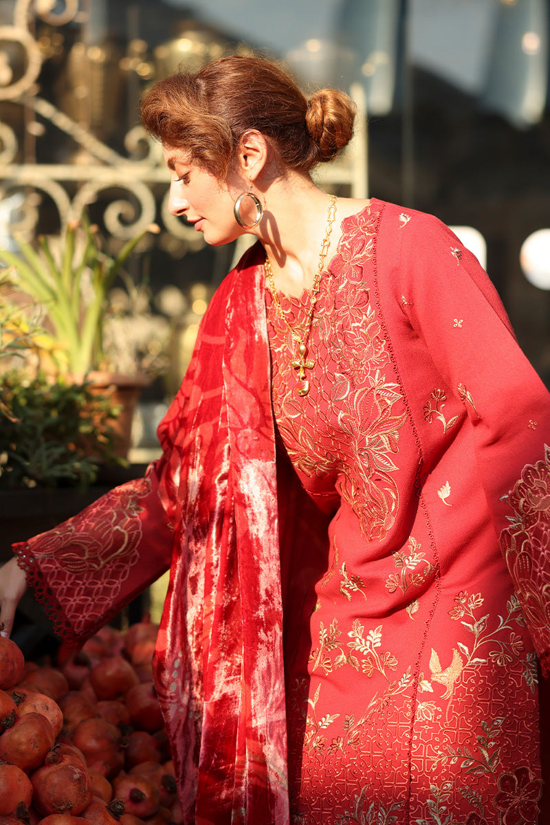 Cold Brew | CARNATION LUXURY SHAWL EDIT | RANG RASIYA