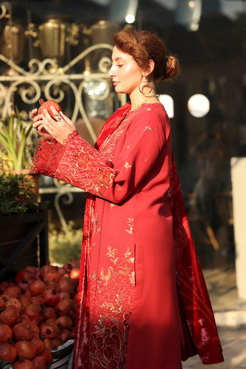 Cold Brew | CARNATION LUXURY SHAWL EDIT | RANG RASIYA