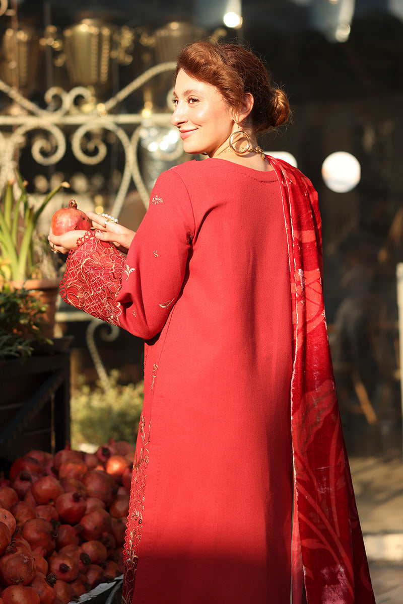 Cold Brew | CARNATION LUXURY SHAWL EDIT | RANG RASIYA