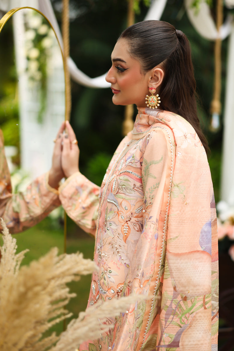 Soha | LUXE SILK | RANG RASIYA