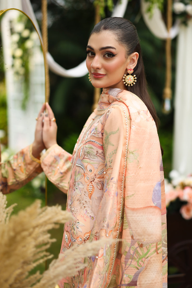 Soha | LUXE SILK | RANG RASIYA