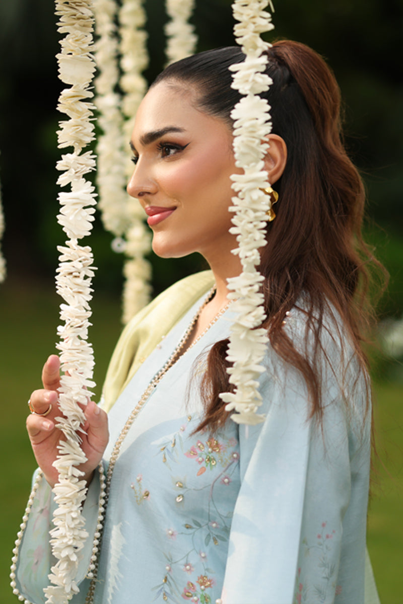 Feryal | LUXE SILK | RANG RASIYA