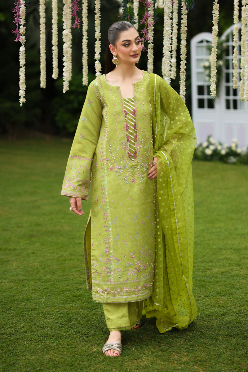 Radin | LUXE SILK | RANG RASIYA