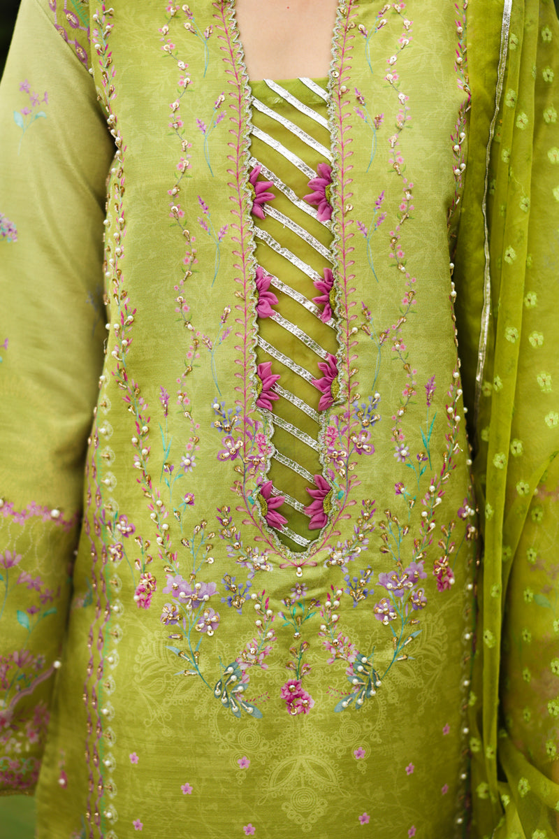 Radin | LUXE SILK | RANG RASIYA
