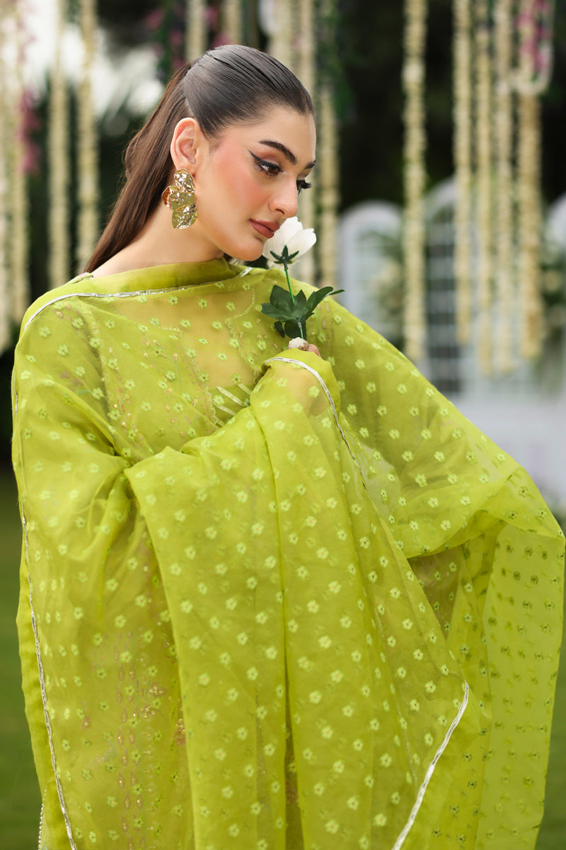 Radin | LUXE SILK | RANG RASIYA