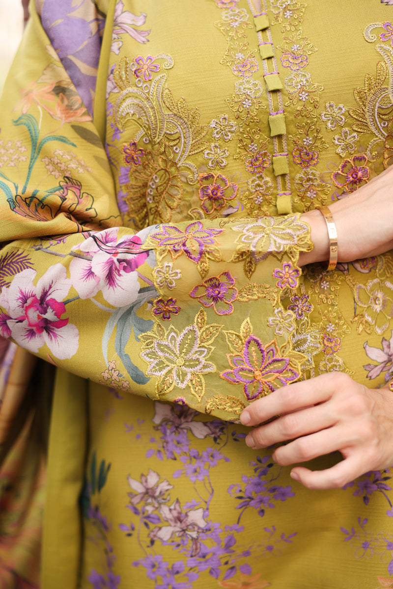 Eva | LIFESTYLE WINTER EDIT 2025 | RANG RASIYA