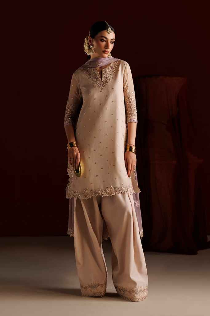 CC-104 Embroidered Chiffon | SEMI FORMALS VOL 1 | IZNIK in UK USA UAE online kapraye.com