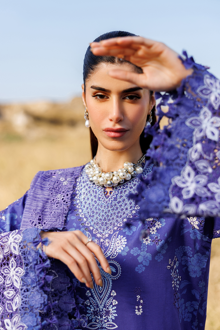 PETAL PULSE | SUNLIT GROOVE | EMAAN ADEEL