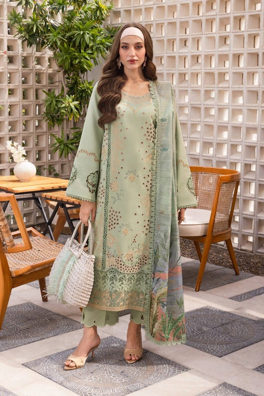 AREHA | CARNATION LUXURY FESTIVE EDIT '25 | RANG RASIYA