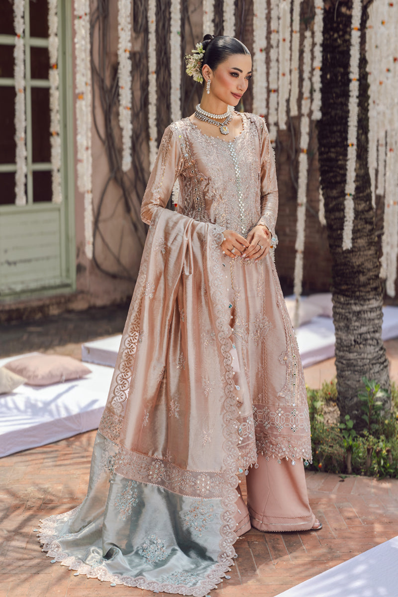 Nayab | WEDDING FORMALS '25 | RANG RASIYA