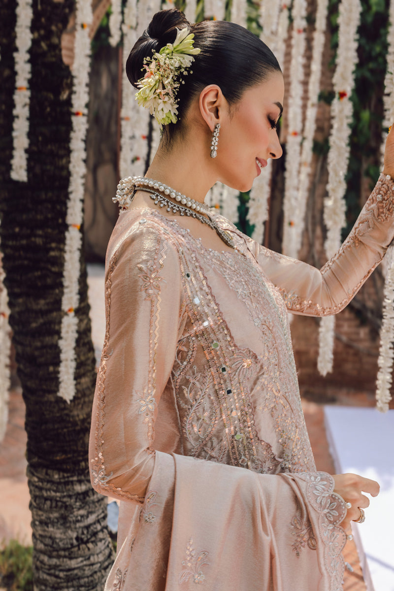 Nayab | WEDDING FORMALS '25 | RANG RASIYA