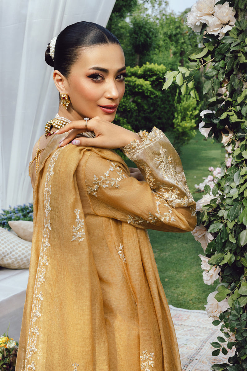 Misha | WEDDING FORMALS '25 | RANG RASIYA