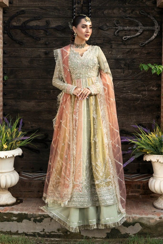 Amil | WEDDING FORMALS '25 | RANG RASIYA