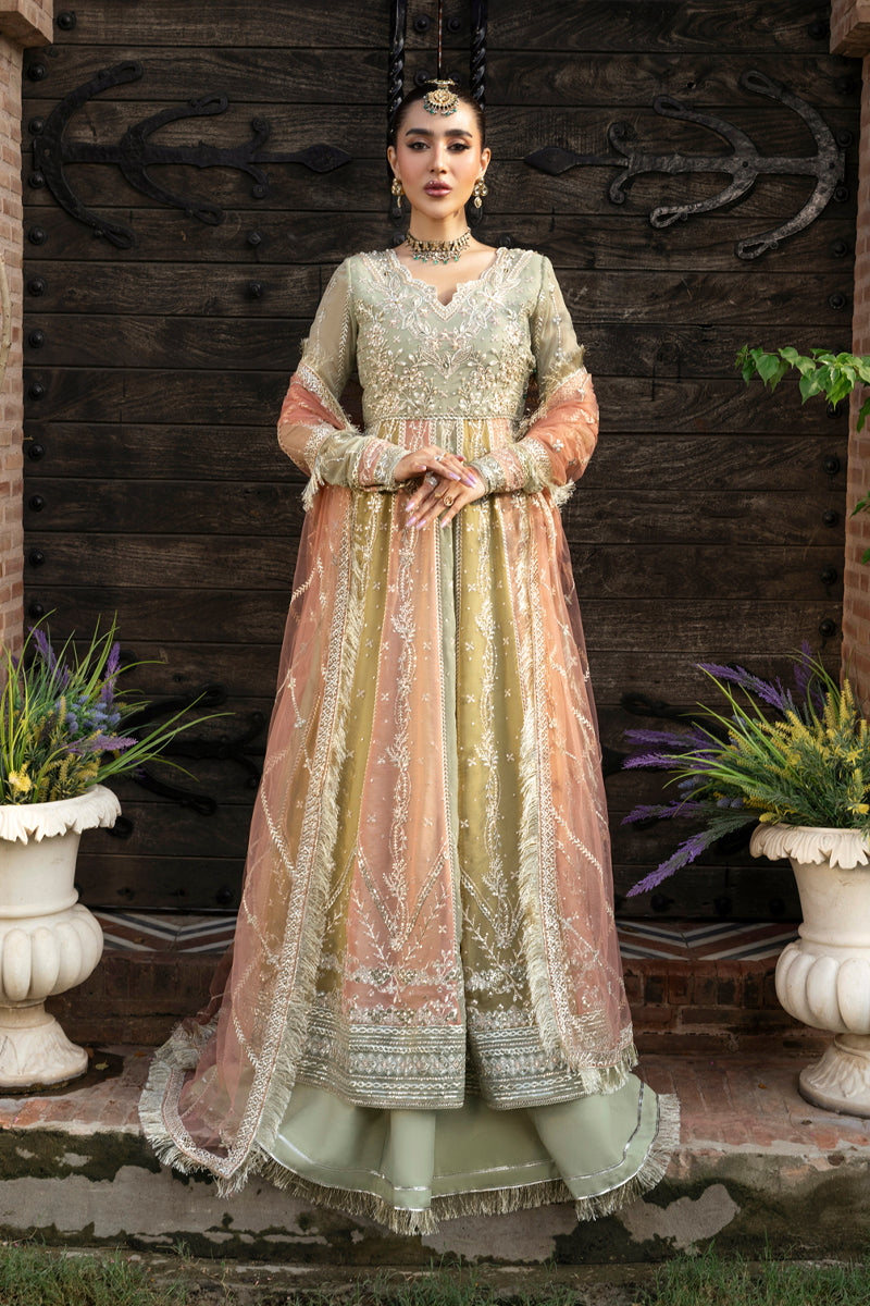 Amil | WEDDING FORMALS '25 | RANG RASIYA