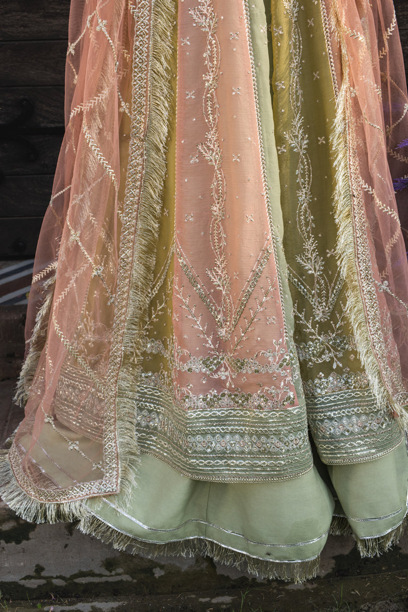 Amil | WEDDING FORMALS '25 | RANG RASIYA