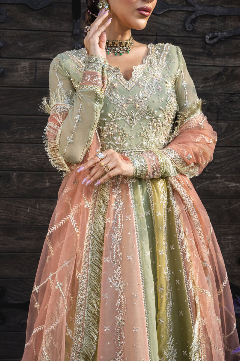 Amil | WEDDING FORMALS '25 | RANG RASIYA