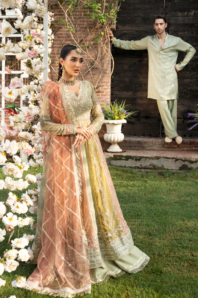 Amil | WEDDING FORMALS '25 | RANG RASIYA