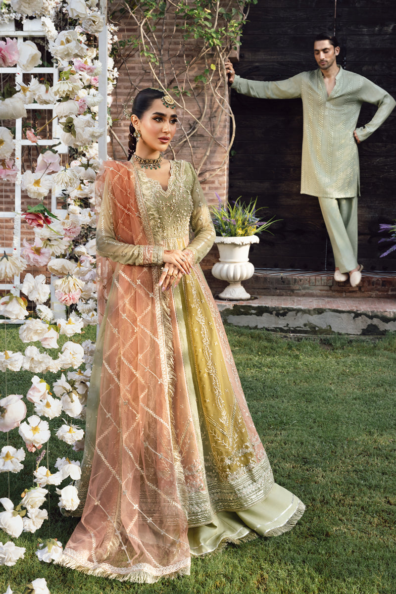 Amil | WEDDING FORMALS '25 | RANG RASIYA