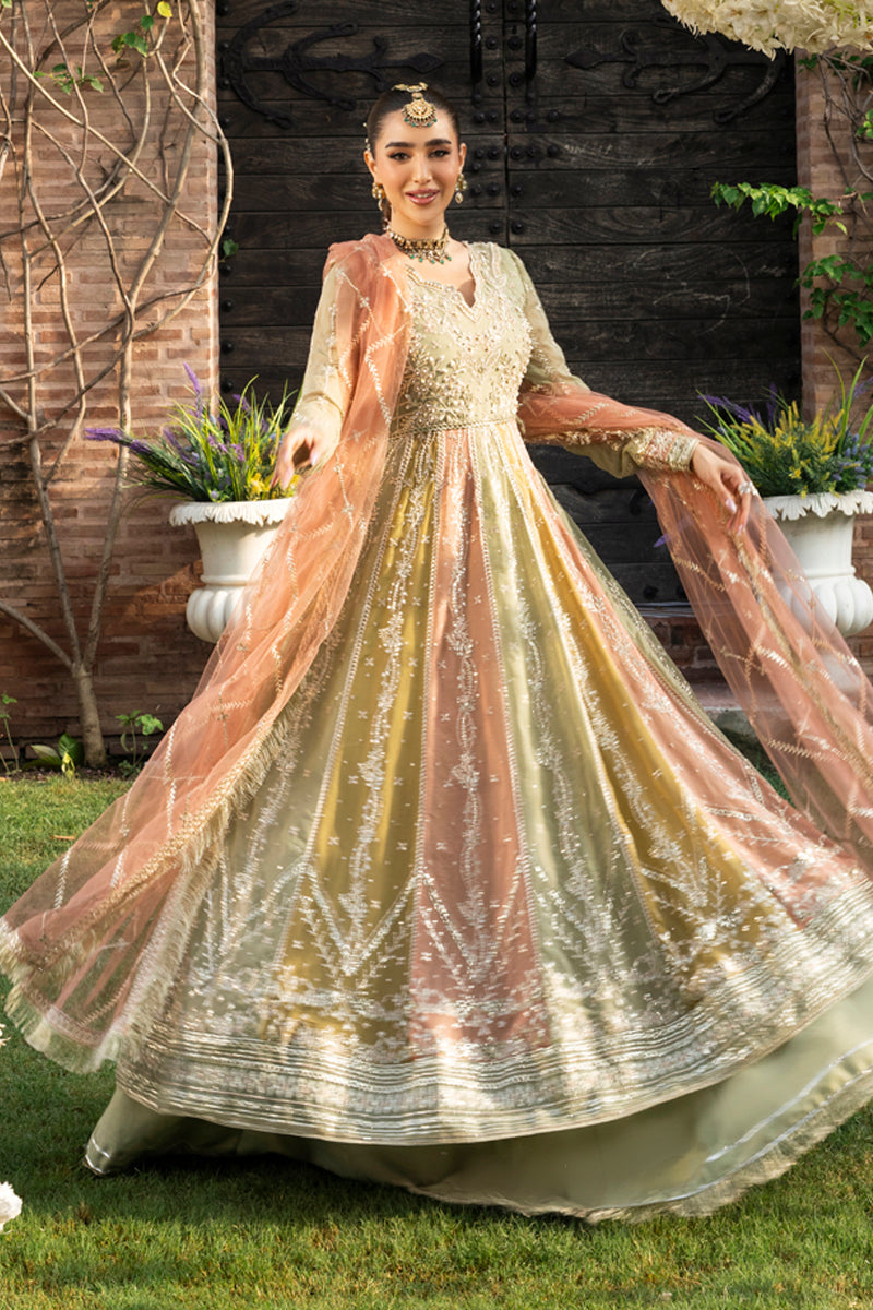 Amil | WEDDING FORMALS '25 | RANG RASIYA