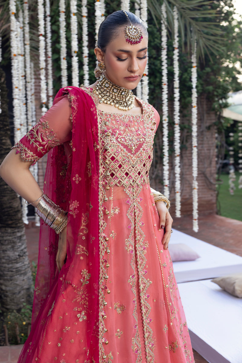 Narmeen | WEDDING FORMALS '25 | RANG RASIYA