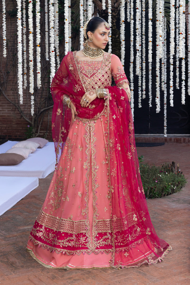 Narmeen | WEDDING FORMALS '25 | RANG RASIYA