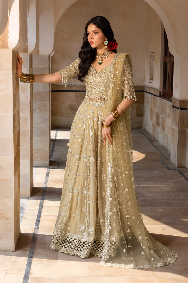 Zaiena | CHIFFON FORMALS | RANG RASIYA