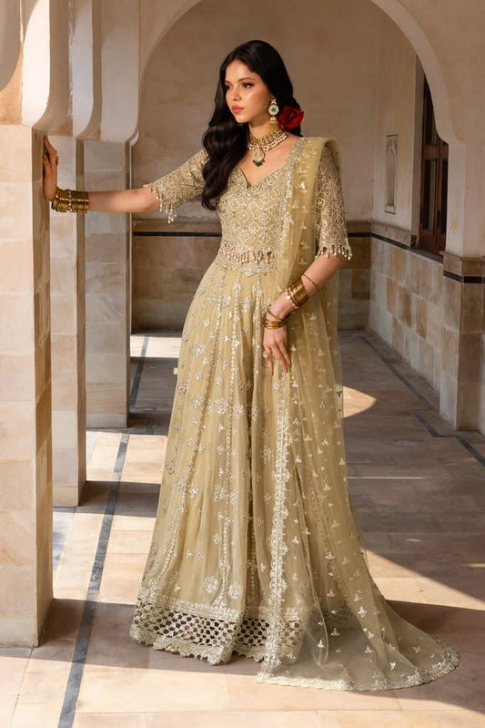 Zaiena | CHIFFON FORMALS | RANG RASIYA