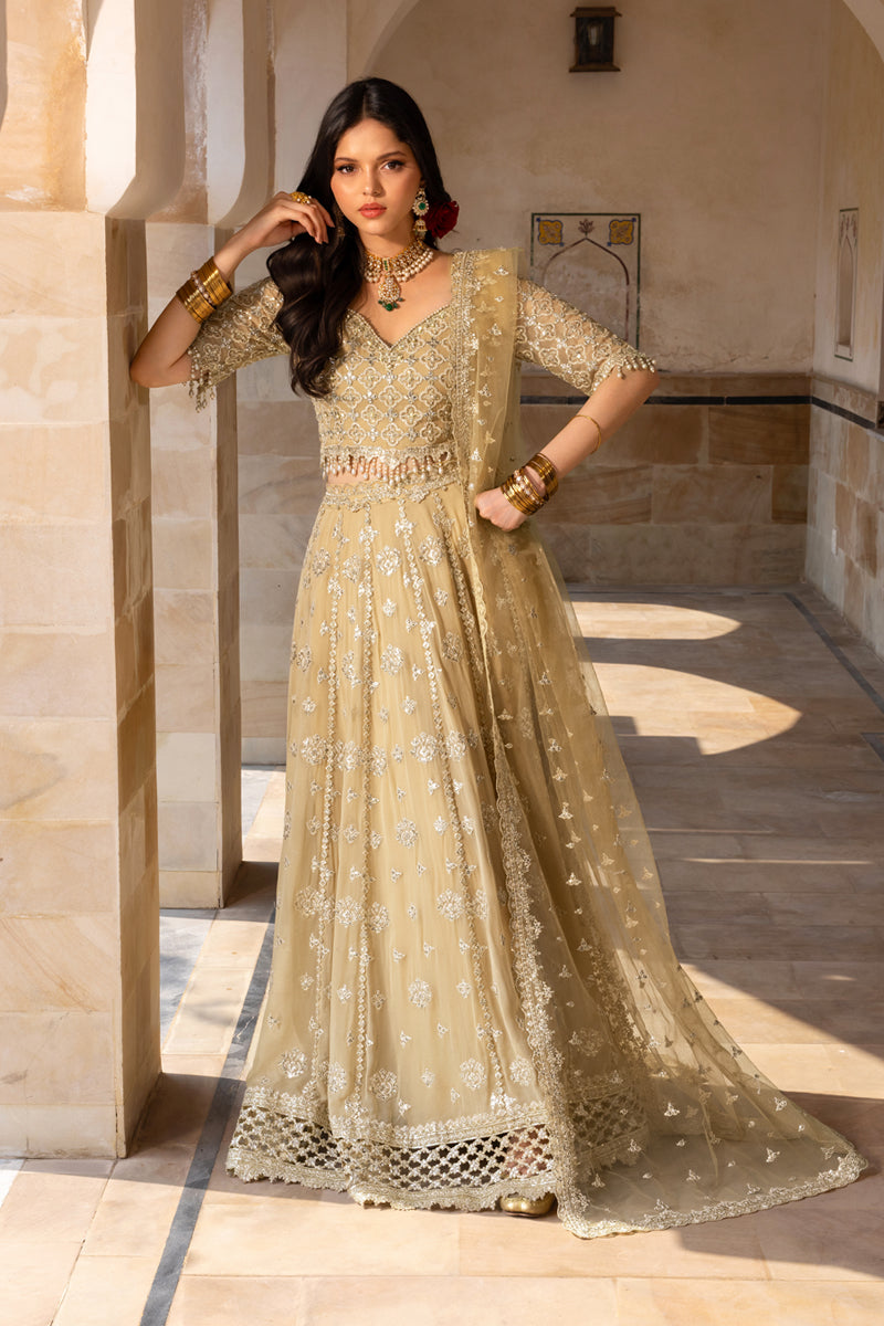 Zaiena | CHIFFON FORMALS | RANG RASIYA