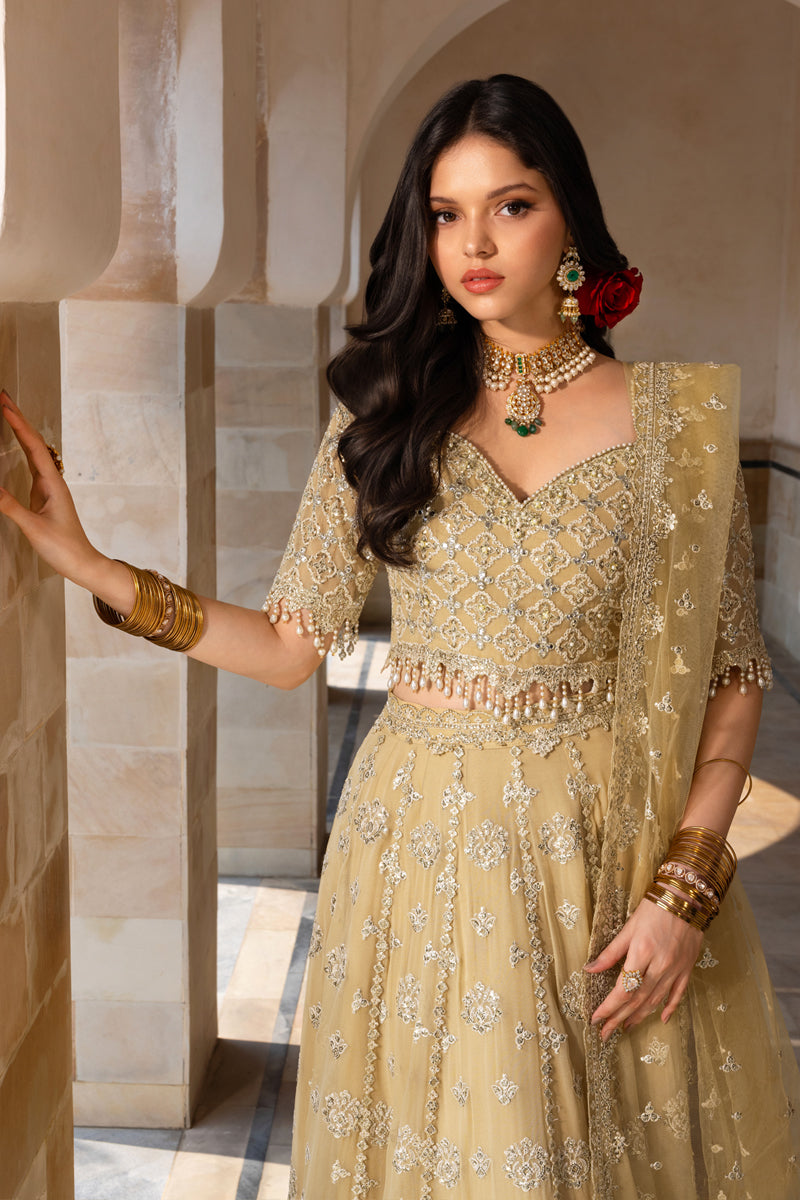 Zaiena | CHIFFON FORMALS | RANG RASIYA