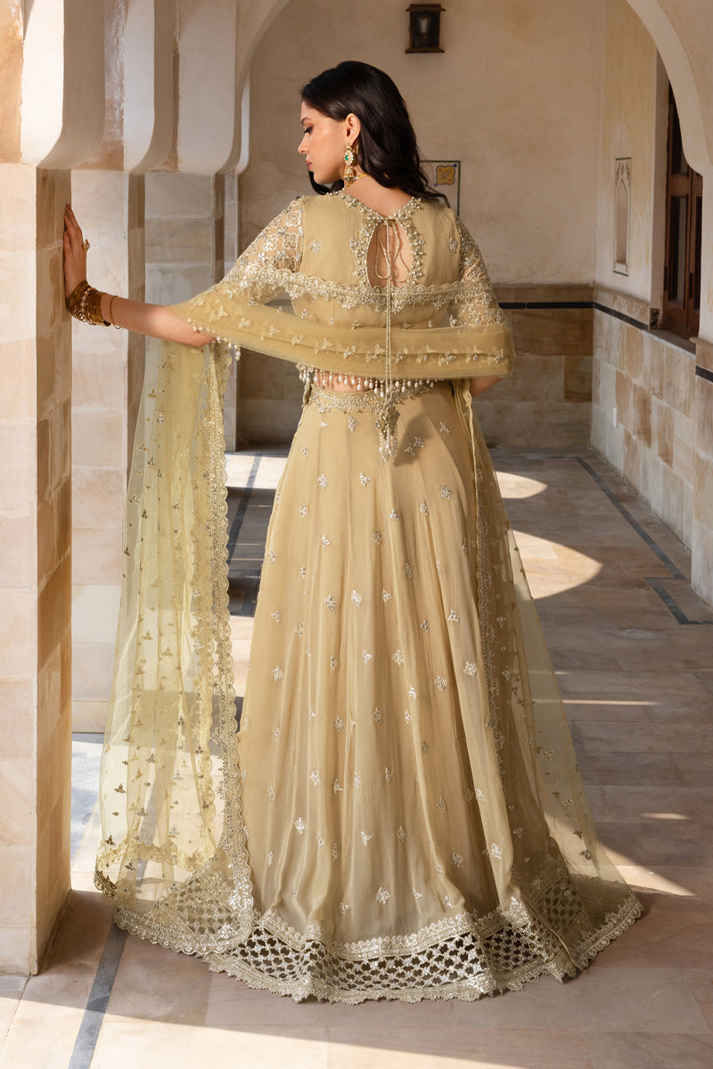 Zaiena | CHIFFON FORMALS | RANG RASIYA