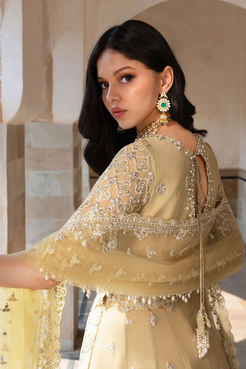 Zaiena | CHIFFON FORMALS | RANG RASIYA