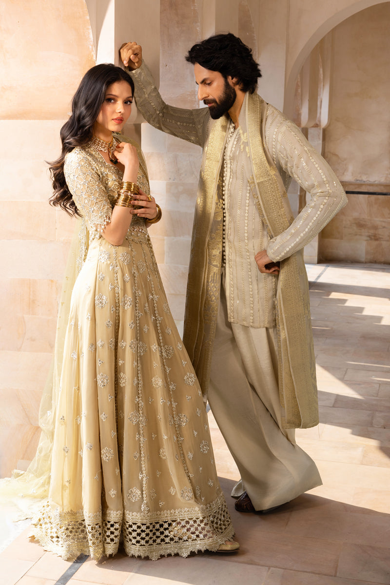 Zaiena | CHIFFON FORMALS | RANG RASIYA